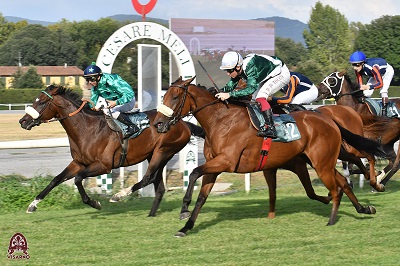 Sabato al Visarno spiccano il Derby dell'Anglo Arabo e Principe Carlo Poniatowsi