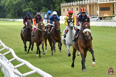 I Favoriti di Galoppo al Visarno di martedì 17 Marzo 2026