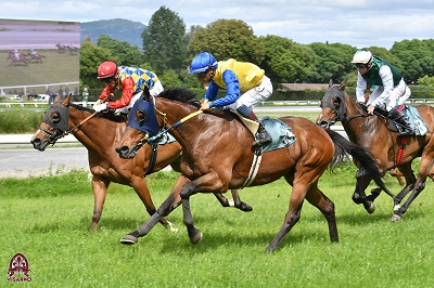 Favoriti di galoppo al Visarno giovedì 25 maggio 2023 (h 15,25)
