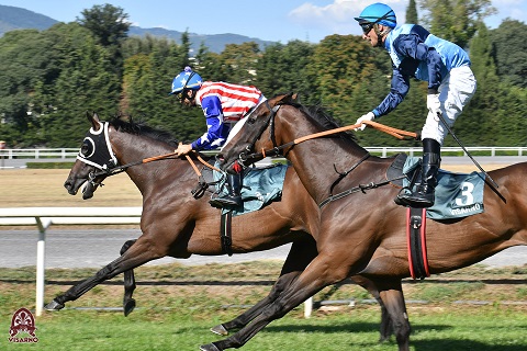 I favoriti di galoppo al Visarno, giovedì 14 settembre