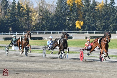 Sui 2020 del Premio Vallandro Iolanda Jet con Luongo al primo successo al Visarno