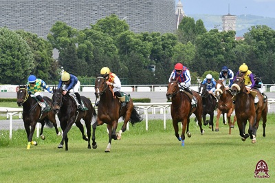 Visarno, un martedì di galoppo con TQQ per 3 anni sui 1800 di pista media