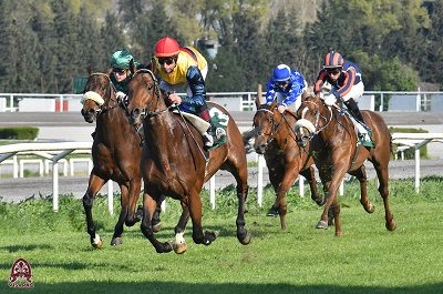Charma Sutra con Pinna vince e convince nel Lord Burghersh.