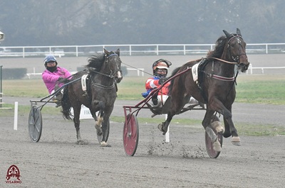 Con Luongo Iridio s'impone di forza in 1.15.6 sui 2020 del Premio Bourbon