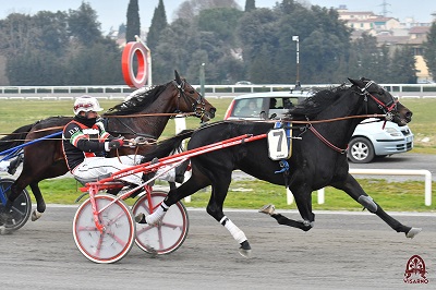 Nel Glauco Cicognani in 1.13.9 Axel Chuck SM stende al tappeto di Firenze il classico Argentovivo