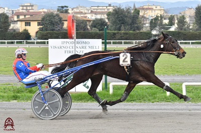 I Favoriti di Trotto al Cesare Meli di venerdì 17 Maggio 2024 (h 15,40)