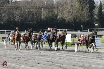 Nel Clou dei 4 anni, Premio Valdirose,Azdora con Federico Esposito domina in 1.14.6 al Visarno