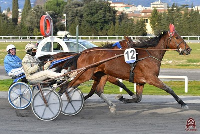 In 1.15.7 Ziguli dei Greppi di forza sottomette Twilight Lux sui 2020 metri della Finale del Trofeo