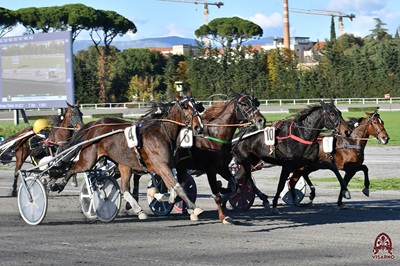 12 convegni al trotto previsti in Novembre e Dicembre 2025