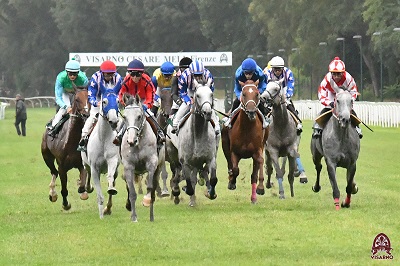 Al Visarno di Firenze va in scena la Festa del cavallo anglo.arabo.