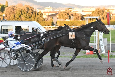 Sui 2020 dell'Altaseta del Pino in 1.13.3 Fotofinish Giovi sottomette Festival a Firenze.