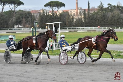 Vandalo Gio con Antonio di Nardo esibisce la sua stamina in 1.14.6 sui 3040 metri del Premio Toscana