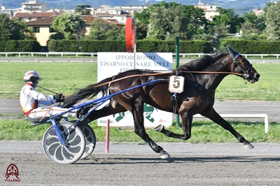 Fra i 3 anni Fulmine degli Dei con Vecchione vince al debutto in 1.13.1 al Cesare Meli