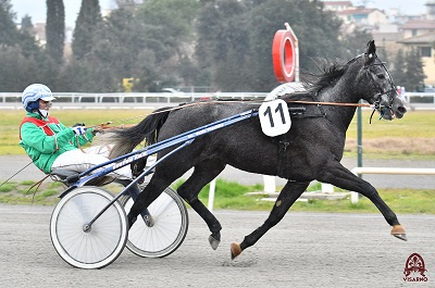 Nel 79° GP Firenze la grigia Arnas Cam sfida Ares Caf e Aramis EK al Visarno