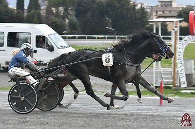 ll Calendario del Trotto di Ottobre, Novembre e Dicembre 2026 a Firenze.