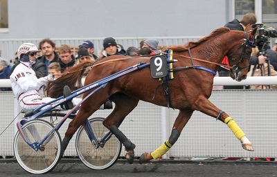 Belina Josselyn destinata in razza a Ready Cash