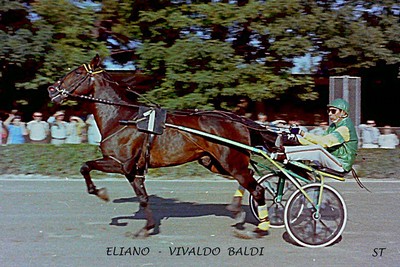 Eliano, l’arma da guerra del leggendario Vivaldo Baldi