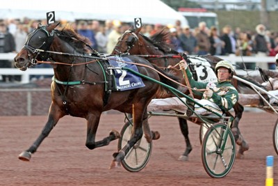 L'interessante proposta in razza del campione americano Father Patrick