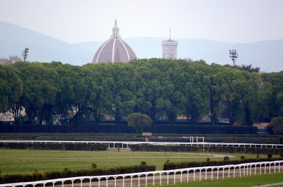 Firenze · Ippodromo del Visarno · Record di visite sul sito del Visarno
