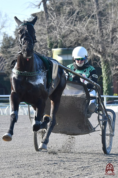 Al Visarno spicca la Supertris sui 1600 metri con molta incertezza.