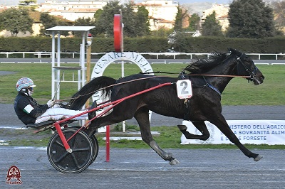 I Favoriti di trotto al Visarno di martedì 17 Febbraio 2026.