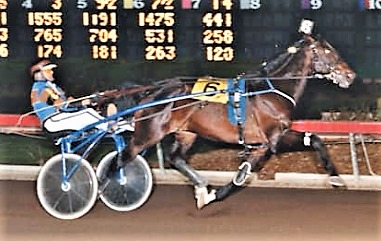 Trot For Joy, l'inossidabile alfiere del felsineo Sergio Corona