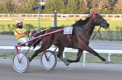 Sabato 21 Firenze Trotto rende onore a Silvano Caparrini e ai suoi prodotti