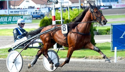 Firenze · Ippodromo del Visarno · Twister Bi rappresenta il futuro del Trotto Nazionale in razza