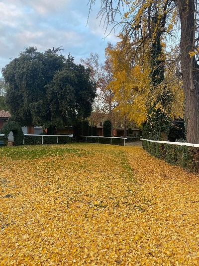 Calendario di Dicembre 2025.